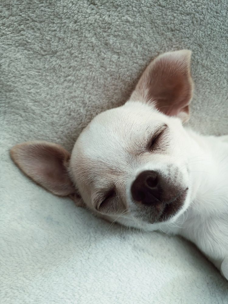 Photograph by Alex Orlov