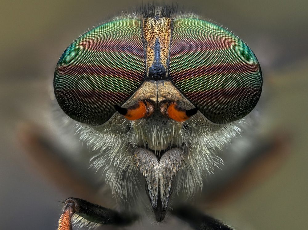 Photograph by Олег Савицкий