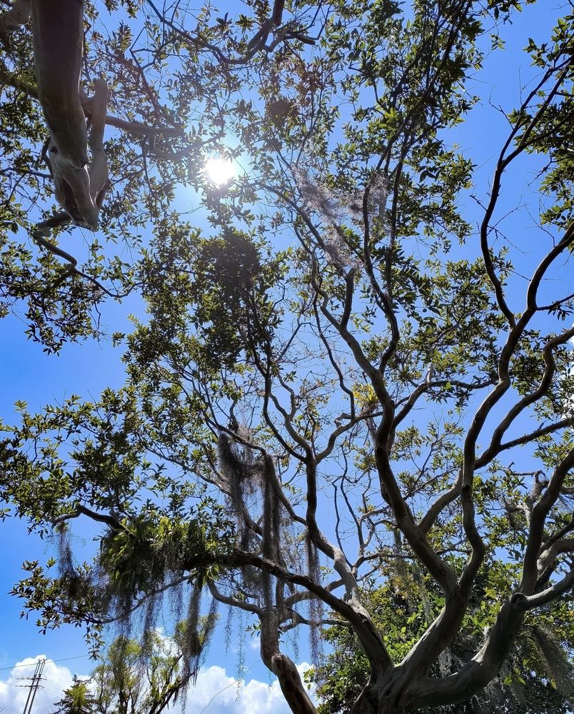 Photograph by OSCAR JAVIER CARDENAS