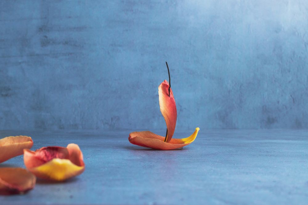 Фотография автора Наталья Василькова