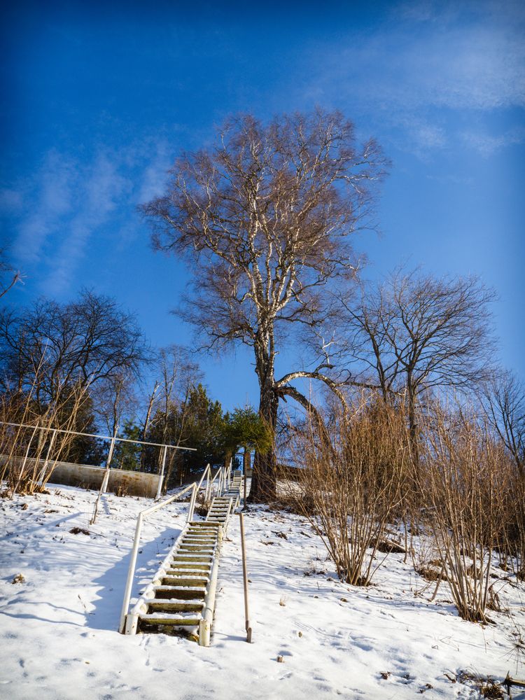 Фотография автора Татаринов Валерий