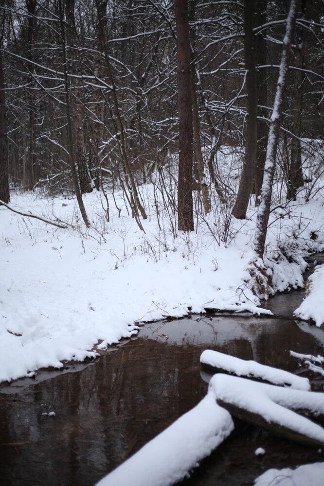 Photograph by Александра Данилова