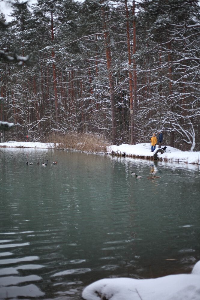 Photograph by Александра Данилова