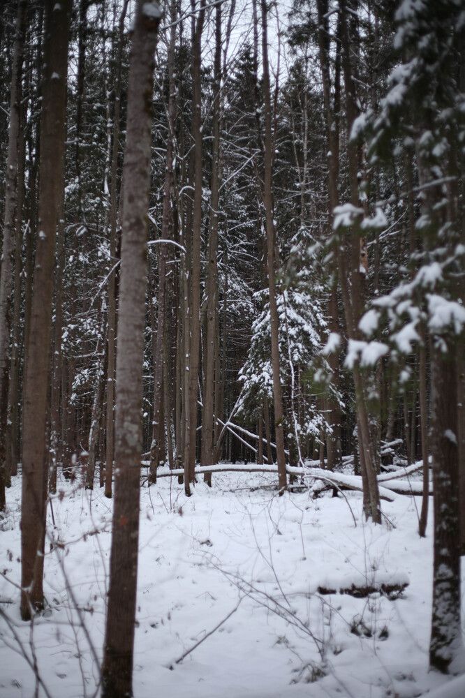 Photograph by Александра Данилова