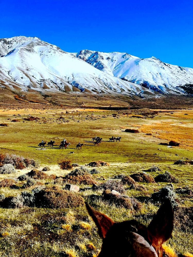 Фотография автора ANA  LIA