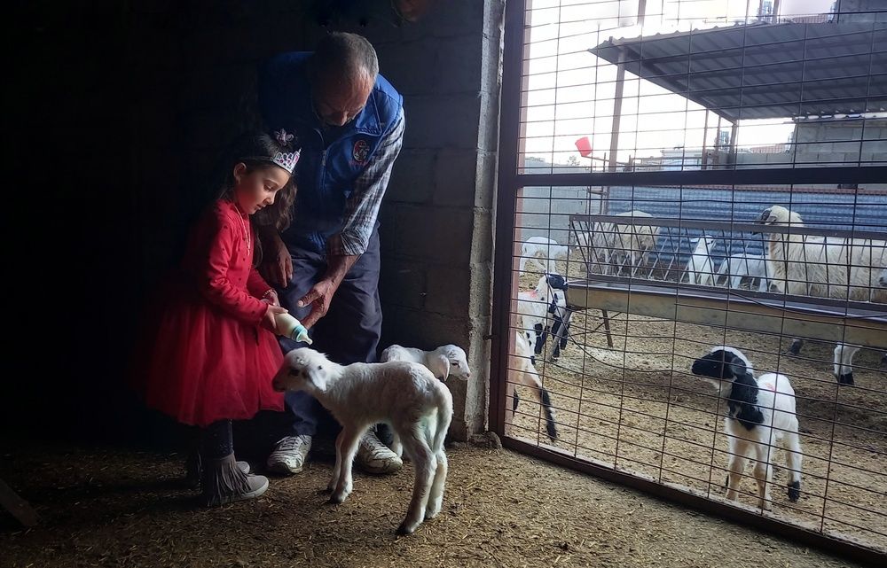 Photo #11964379