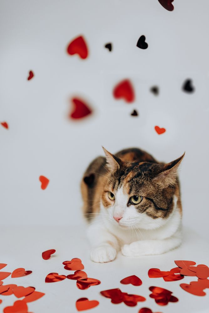 Photograph by Анастасия Герасимова