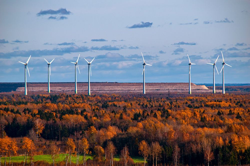 Photograph by Игорь Овсиенко