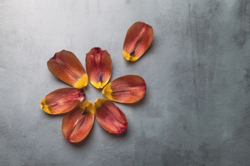 Фотография автора Наталья Василькова