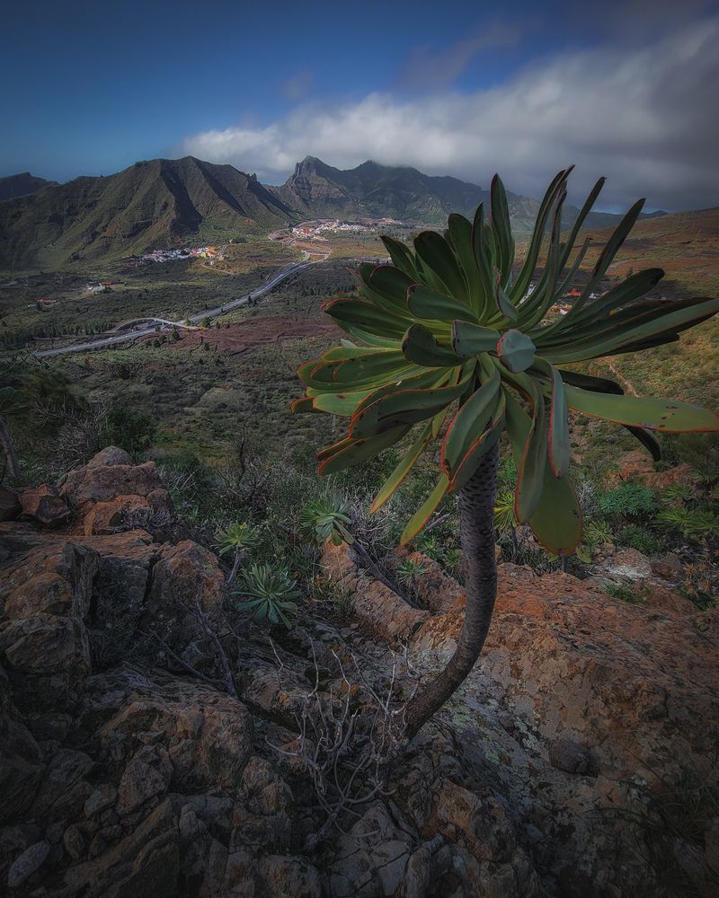 Photograph by Evgeny Pochaev