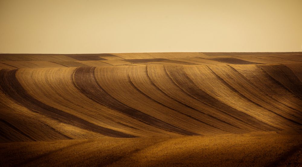 Photograph by Alireza Masoumy