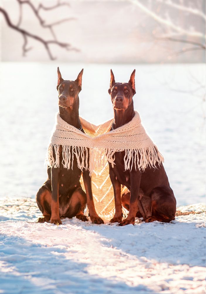 Photograph by Екатерина Лебедева