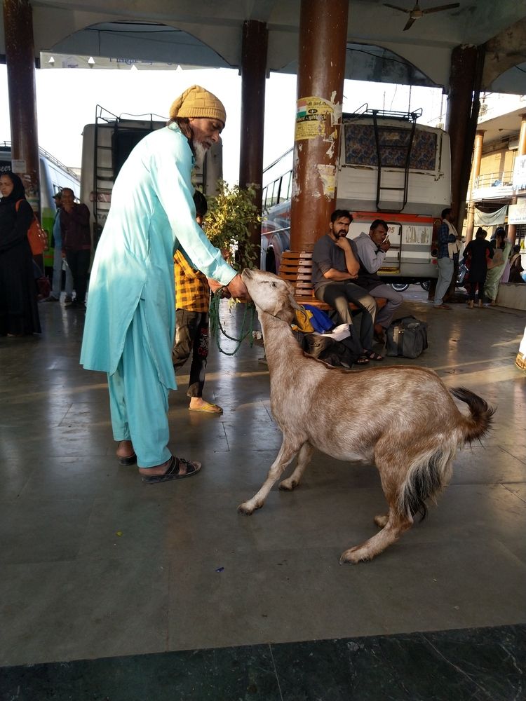 Photograph by sumit sitole