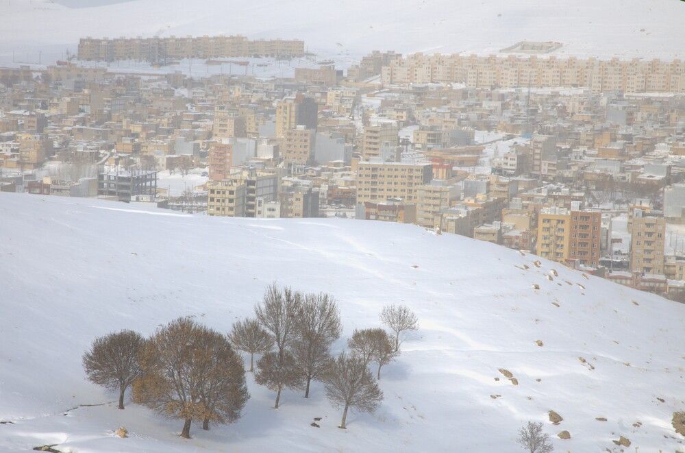 Photograph by Ali Razaviyan