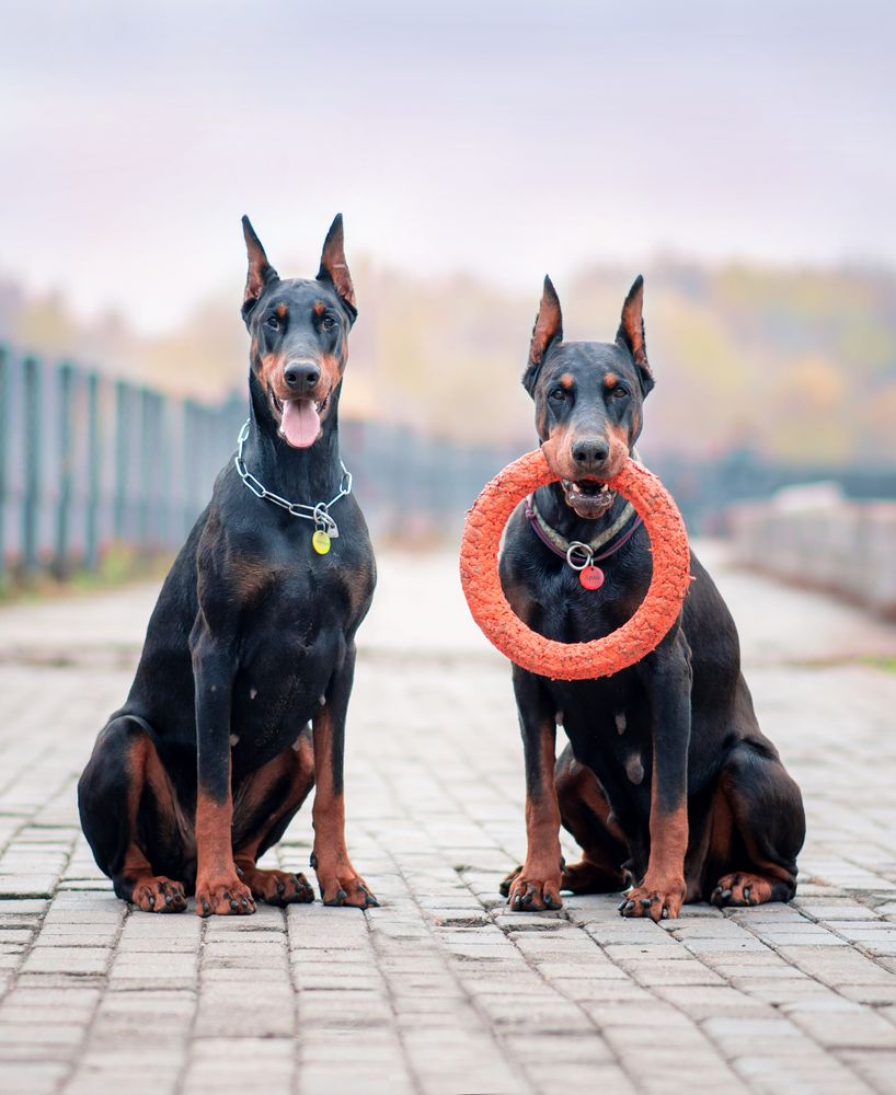 Photograph by Екатерина Лебедева