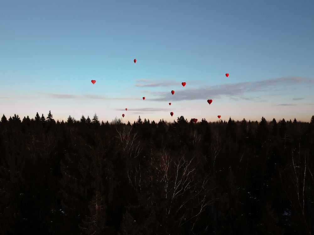 Photograph by Дарья Воронкова