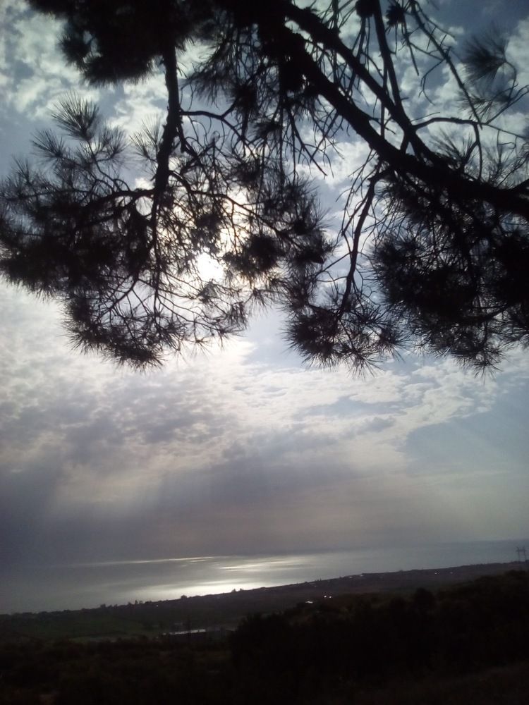 Photograph by Erika Osipova