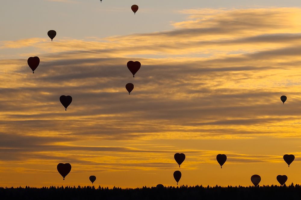 Photograph by Дарья Воронкова