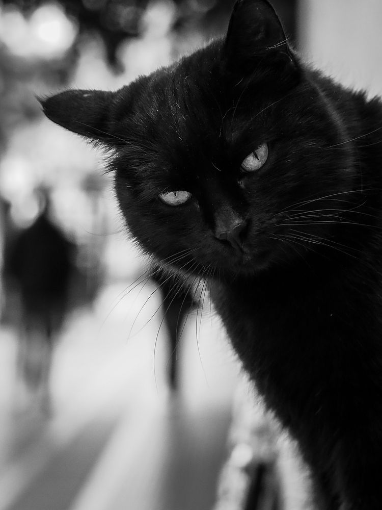 Photograph by Георгий Акопджанов