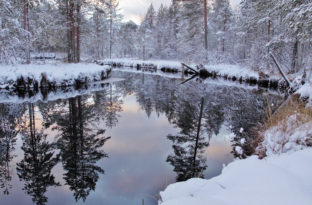 Photograph by Николай Раппу