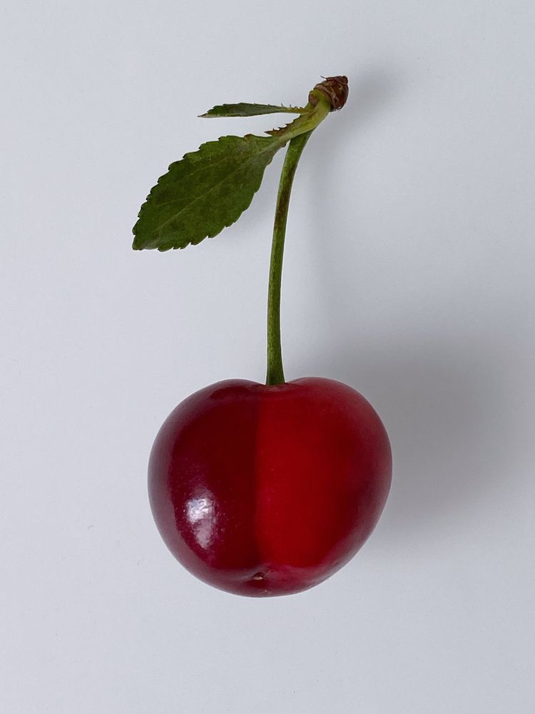 Фотография автора Наталья Василькова