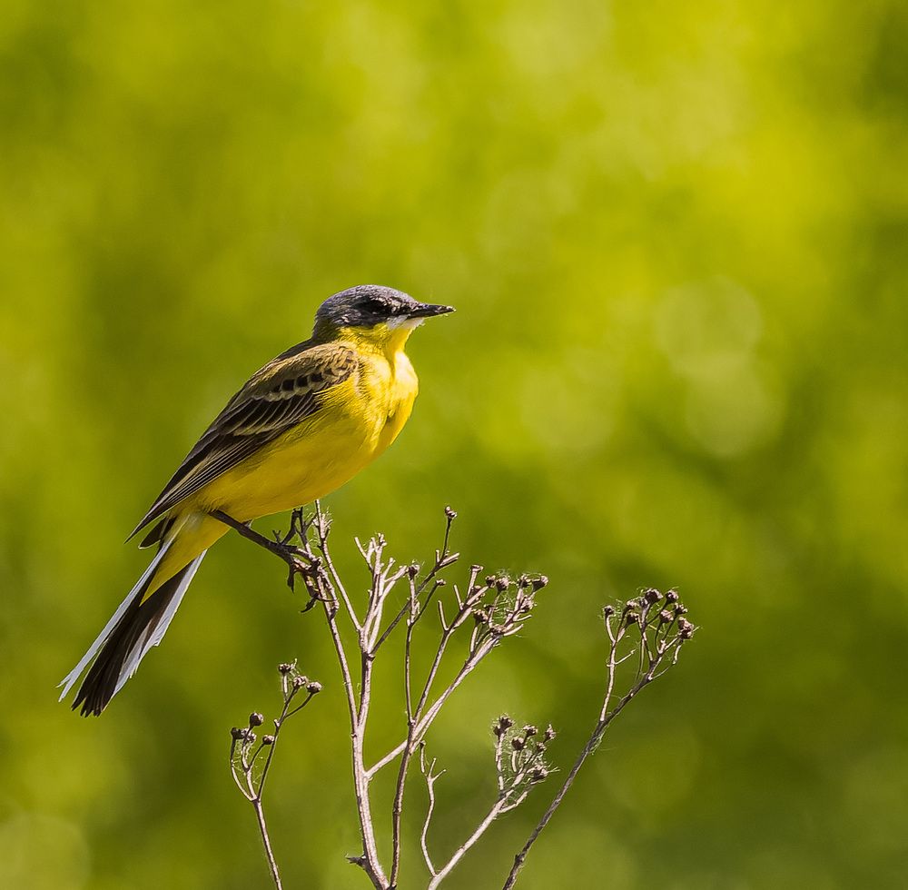 Photograph by Victor Shaposhnikov