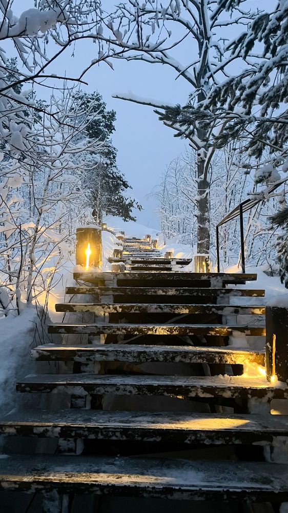 Photograph by Nataliia Nedelina