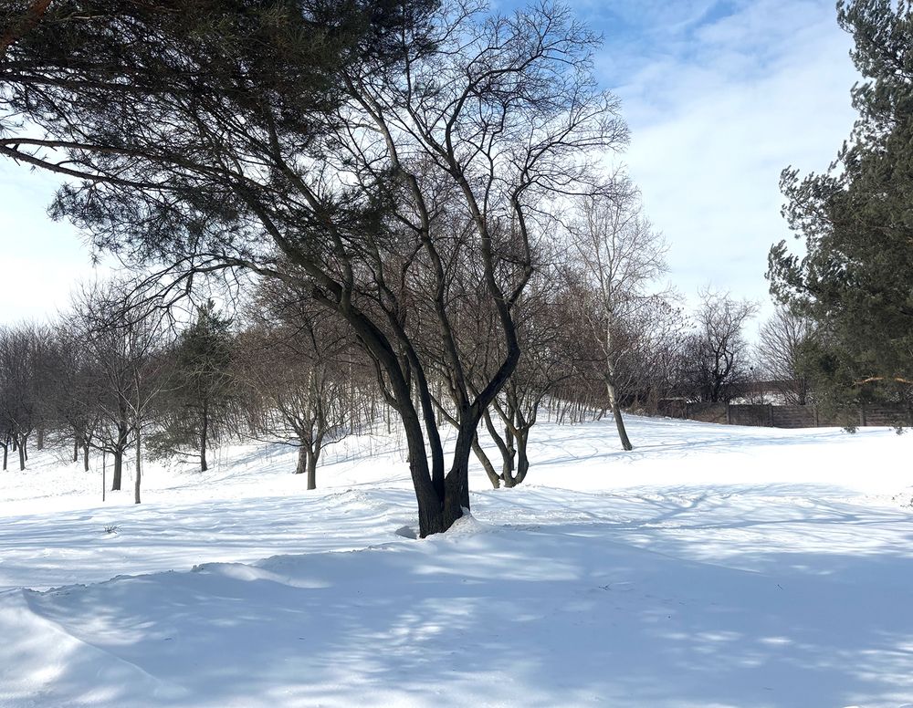 Photograph by Liliana Grup