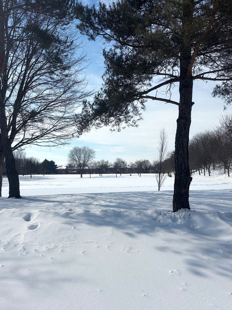 Photograph by Liliana Grup