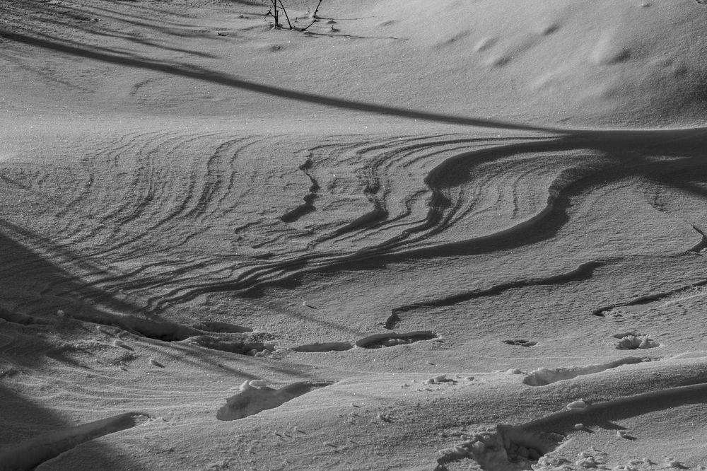 Фотография автора Валентина Комлева