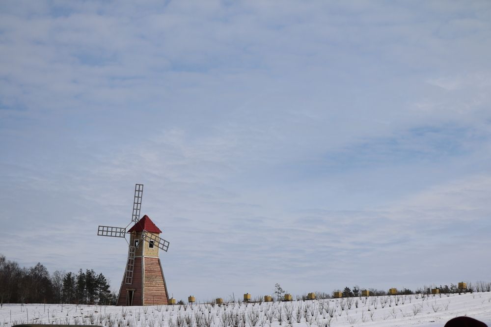 Фотография автора Лариса Ременьчик