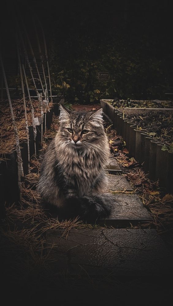 Photograph by Людмила Лукьяненко