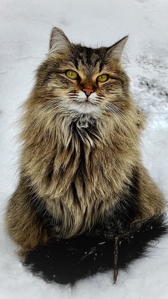 Photograph by Людмила Лукьяненко