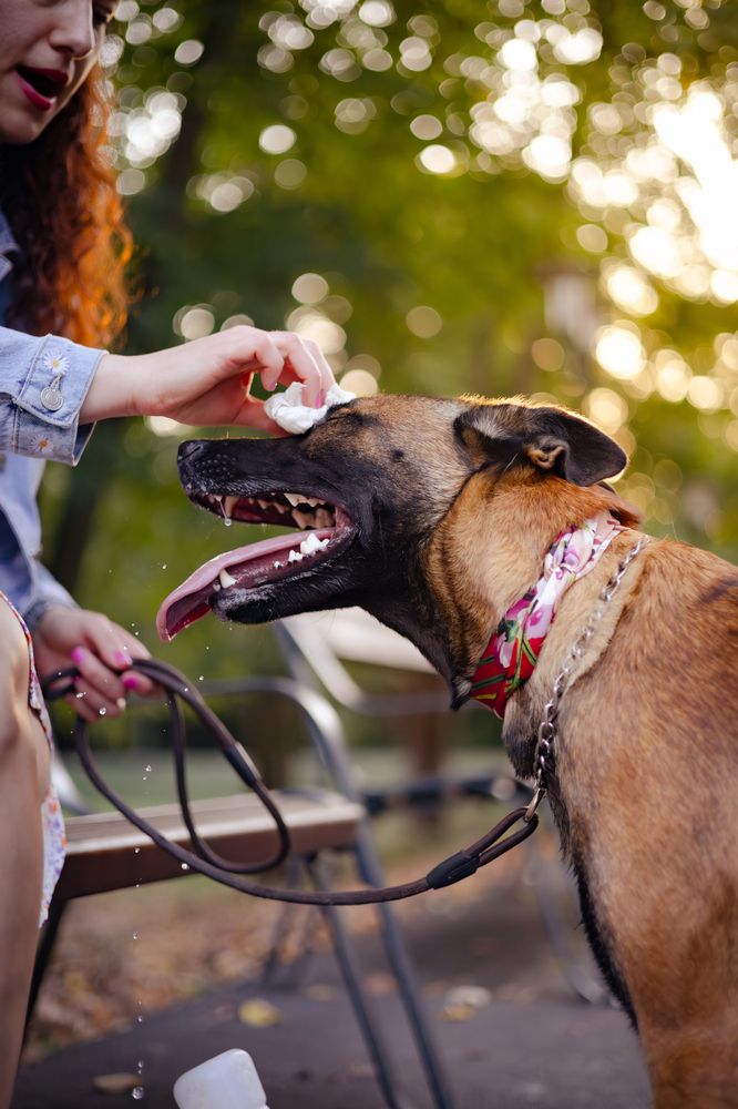 Photograph by Mateja Proučil