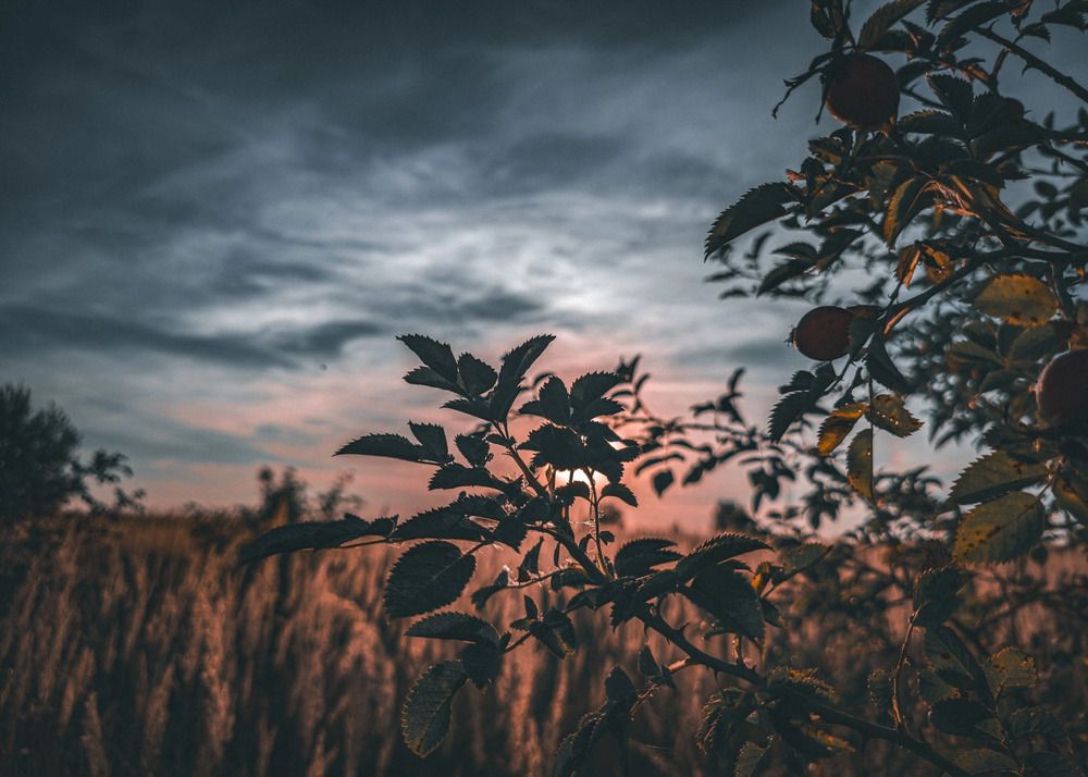 Photograph by Кирилл Сидоров