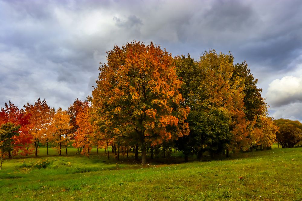 Красочная осень.