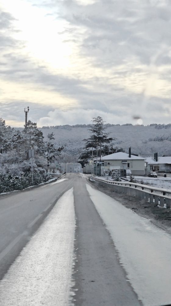 Фотография автора Елена