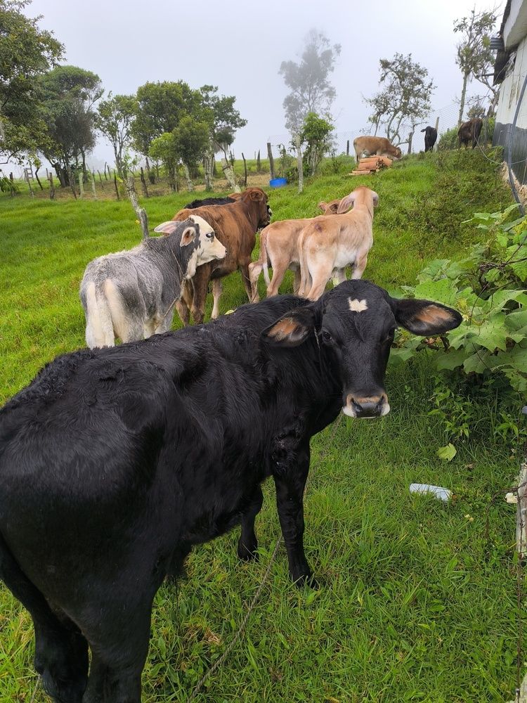 Photograph by OSCAR JAVIER CARDENAS