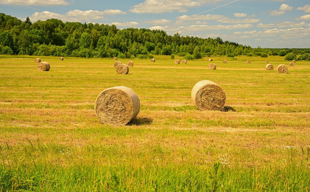 Photograph by Tanzilya Gabidullina