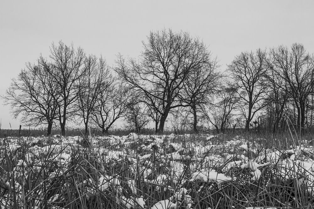 Photograph by Дмитрий Матвеев