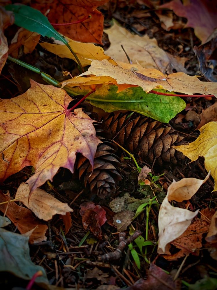 Photograph by Ольга Мажарук