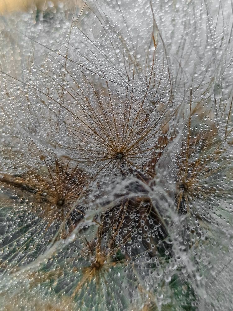 Photograph by Лариса Когтева