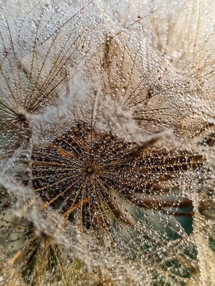 Photograph by Лариса Когтева