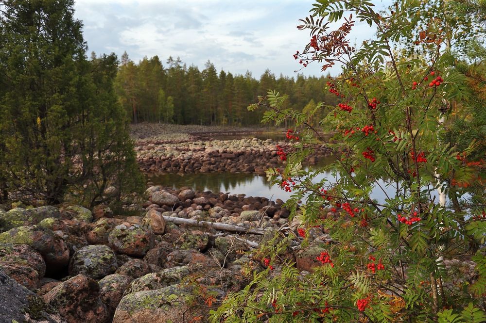 Озовая гряда в Карелии.