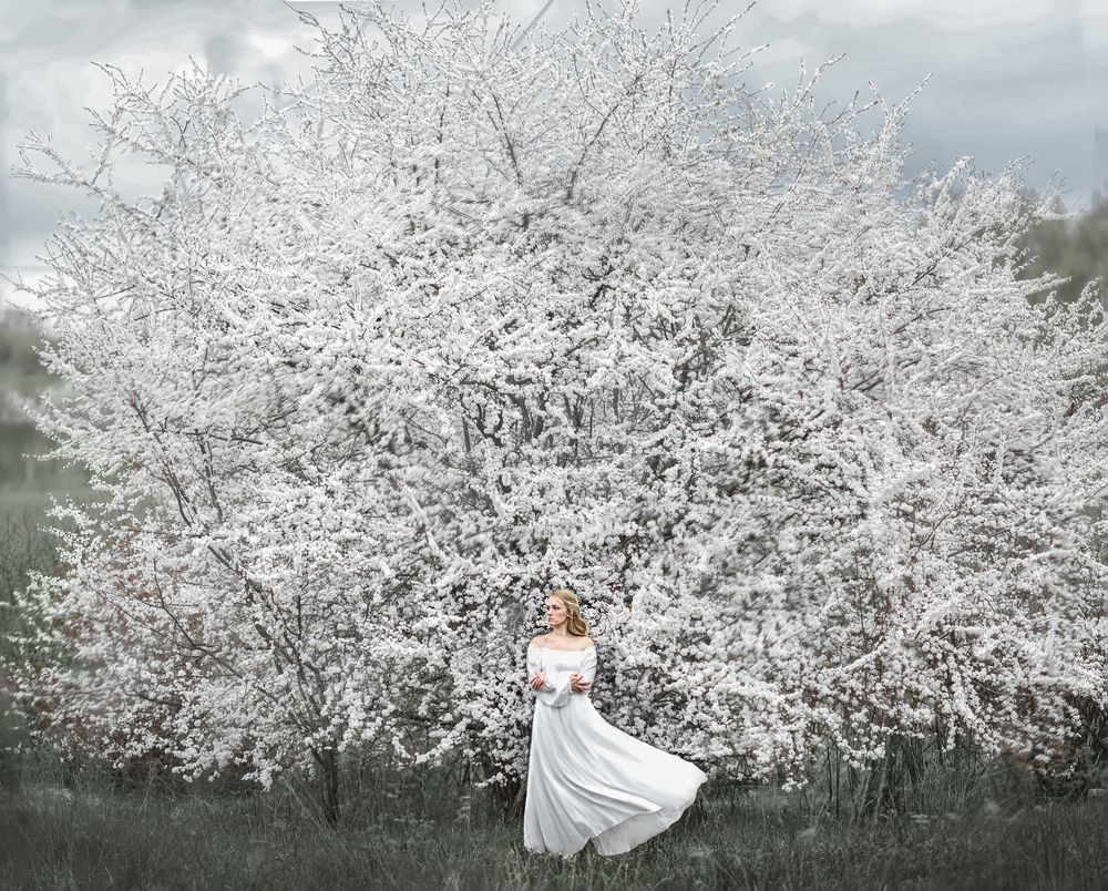 Photograph by Ekateryna Sholomickaya