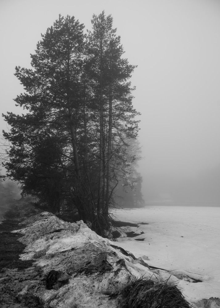 Photograph by Ольга Лобачёва