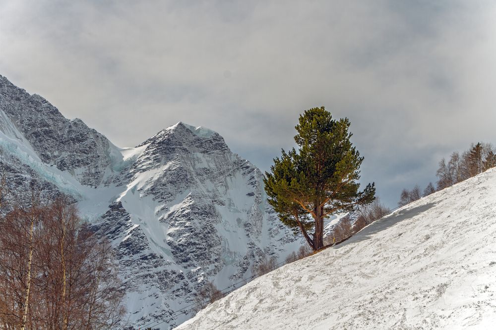 Photograph by Дмитрий Матвеев