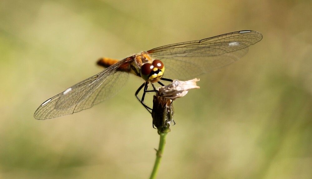 Photograph by Inese Firsova