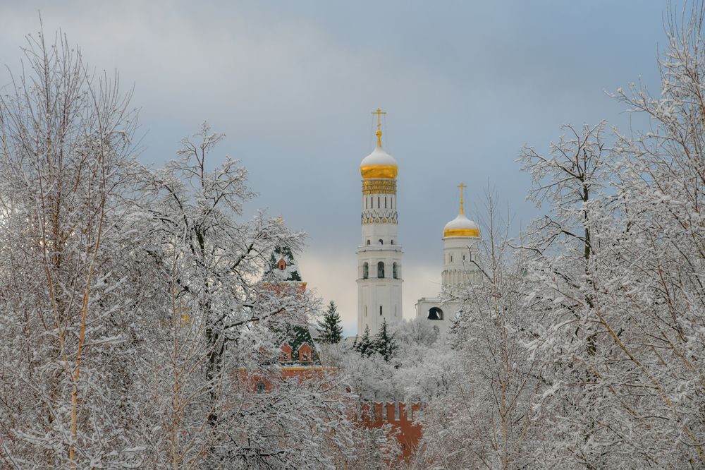 Фотография автора Alexandra Elagina
