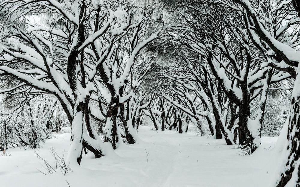 Photograph by Андрей Бондаренко